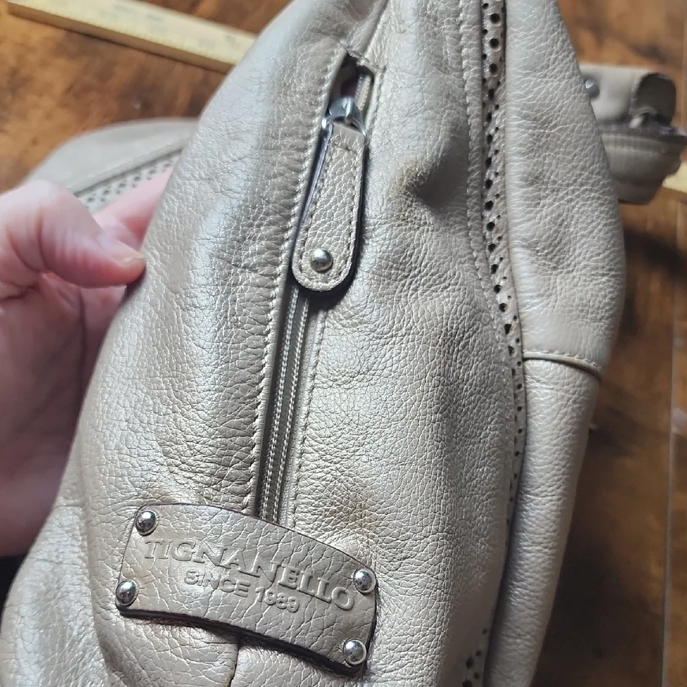 TIGNANELLO‎ | Taupe Metallic Leather Hobo Bag With Cutout Accents And Pockets
